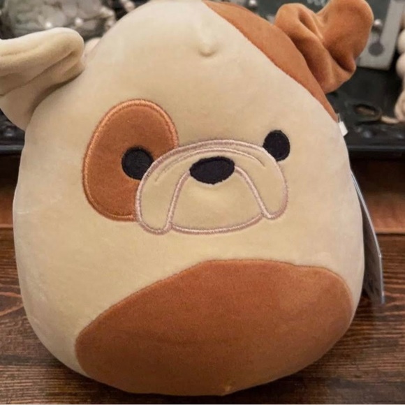 Squishmallows Toys Nwt Griz The French Bulldog 7 Inch Squishmallow